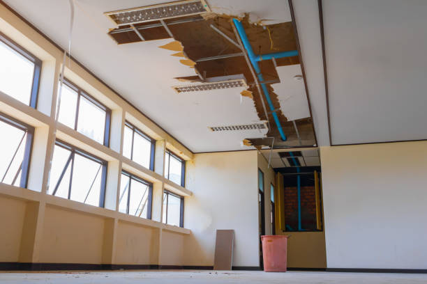 Best Ceiling water damage repair  in Goliad, TX