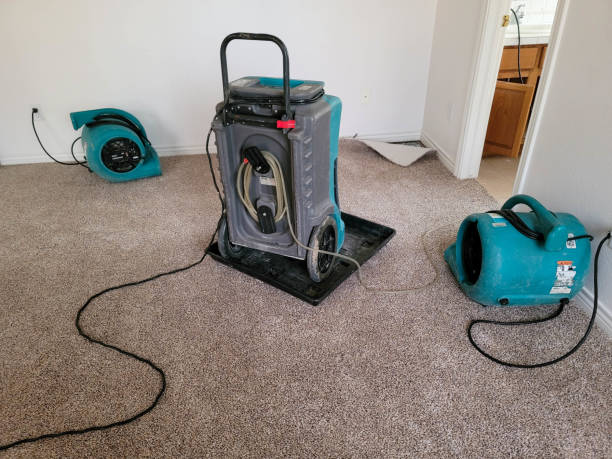 Best 24/7 water damage repair  in Goliad, TX
