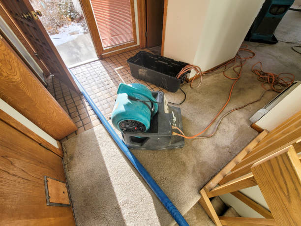 Best Carpet water damage restoration  in Goliad, TX
