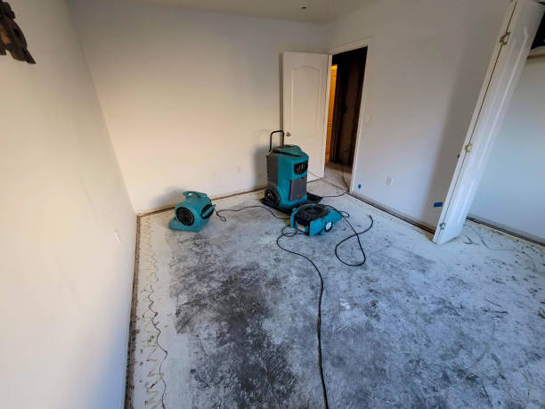 Best Flood restoration services  in Goliad, TX