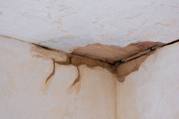 Best Flooded house restoration  in Goliad, TX