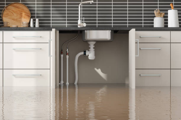 Best Water damage cleanup near me  in Goliad, TX