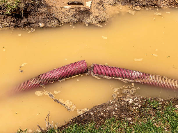 Best Basement water damage restoration  in Goliad, TX